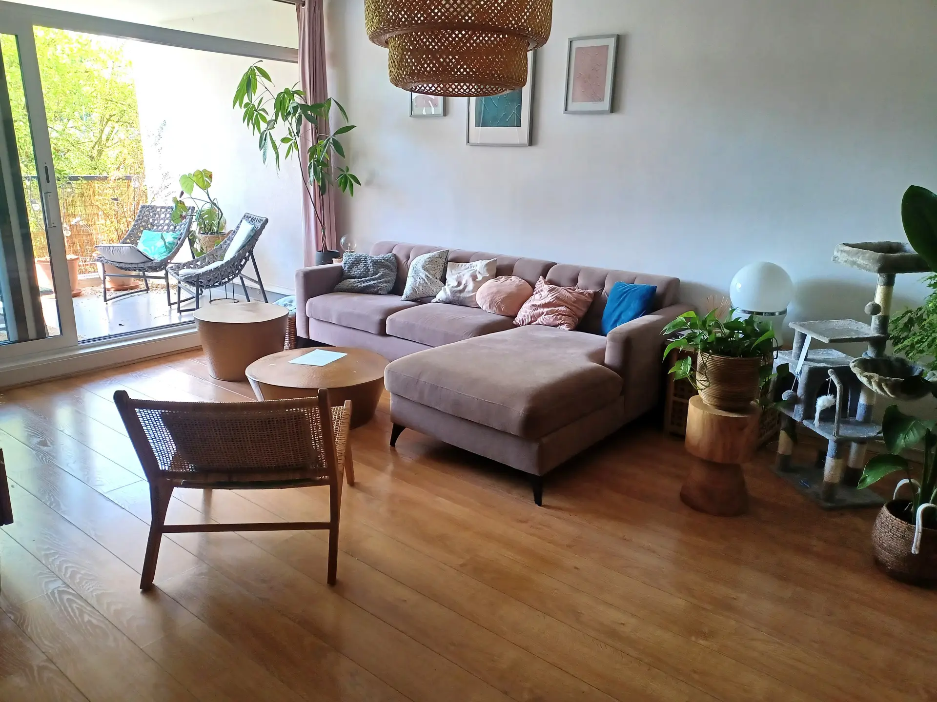 Photo 5