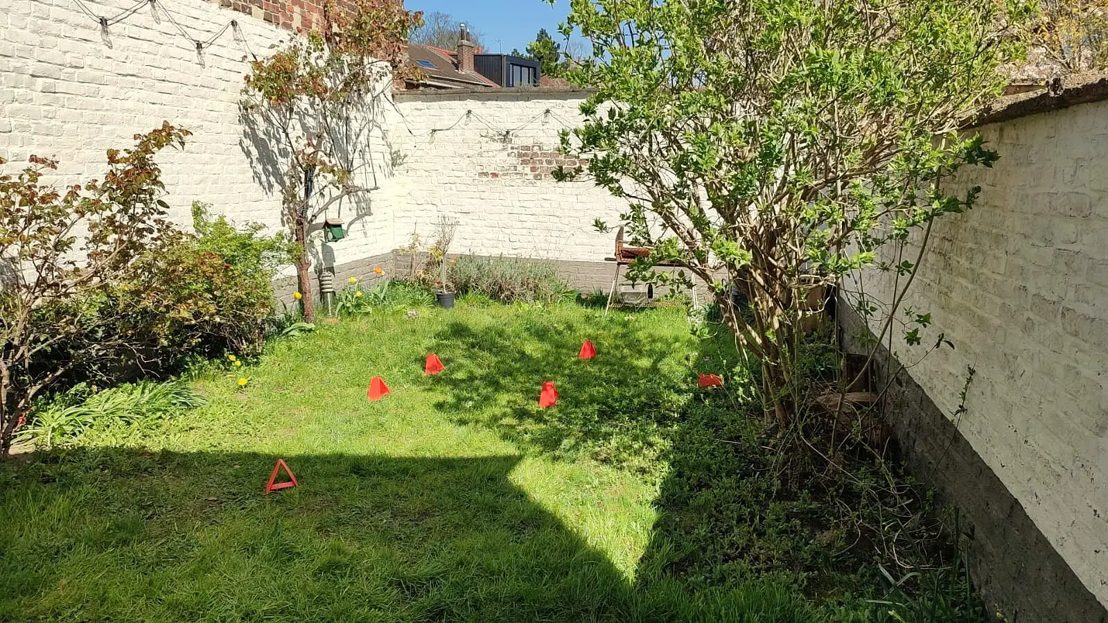 Photo 13